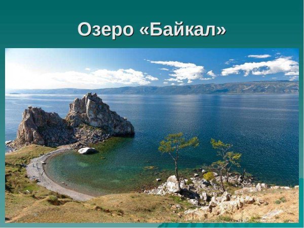 Растительный мир озера Байкал