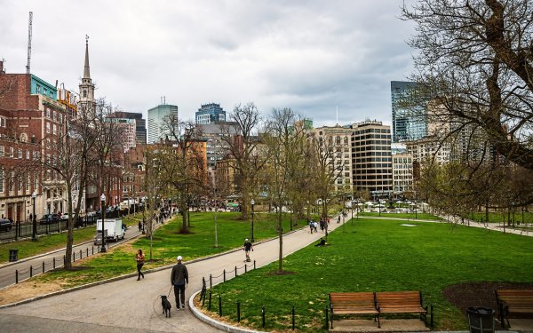 Парк «радостные деревья» в Ливерпуле,