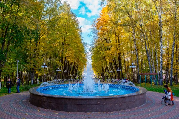 Парк Березовая роща Дмитров