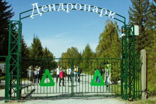 Дендропарк Новосибирск