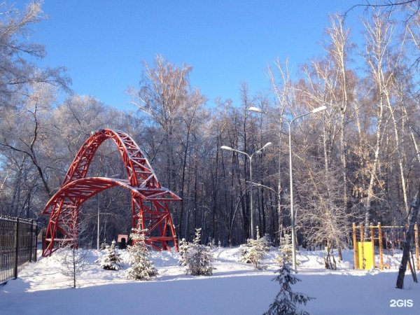 Бугринская роща Новосибирск