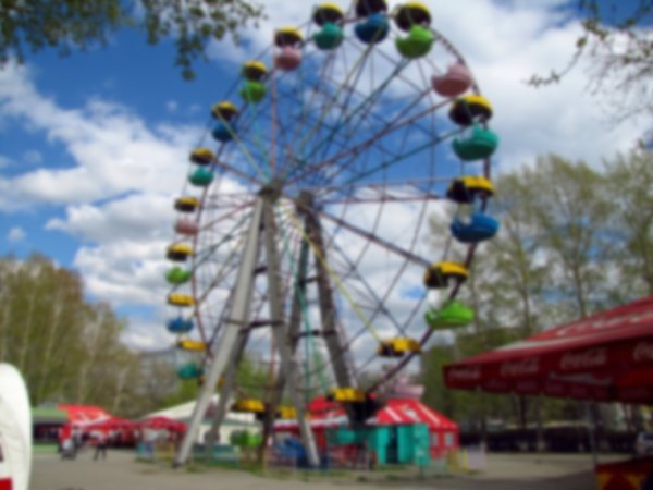 Берёзовая роща парк Новосибирск