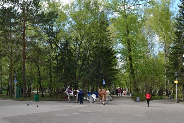 Сквер центр Новосибирск