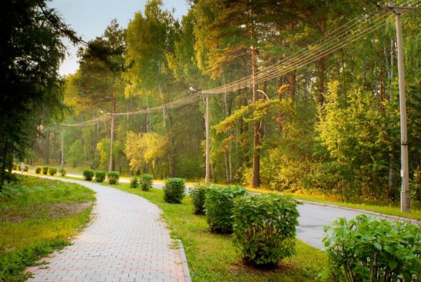 Центральный парк Академгородка