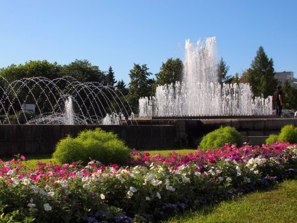 Новосибирск природа парк