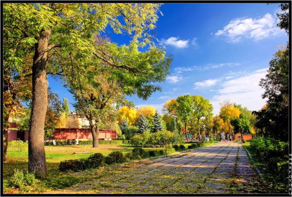 Верхний парк осенью Липецк