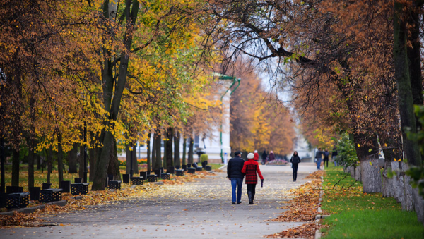 Верхний парк Липецк