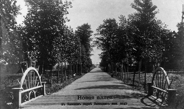 Нижний парк Липецк аллея