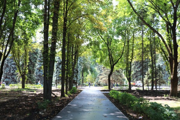 Город Липецк Быханов сад