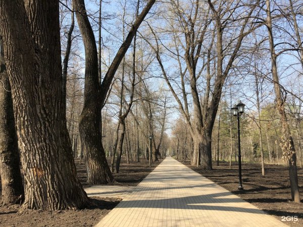 Нижний парк Липецк аллея