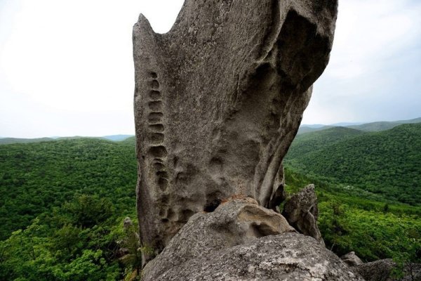 Чистоводное парк драконов
