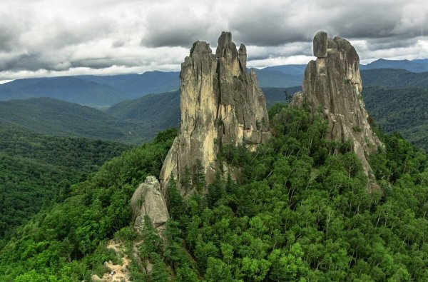 Чистоводное Приморский край парк драконов