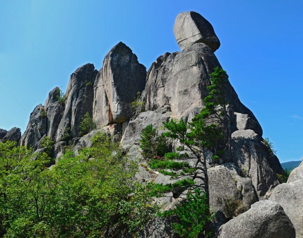 Чистоводное Приморский парк драконов