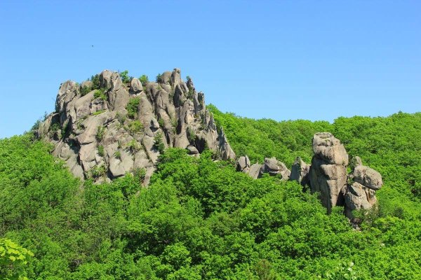 Парк драконов Уссурийск