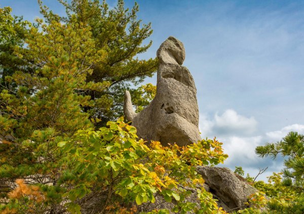 Парк драконов Лазовский заповедник