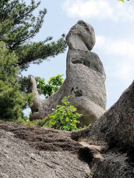 Чистоводное Приморский край парк драконов