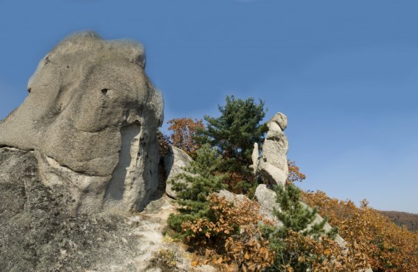 Чистоводное парк драконов