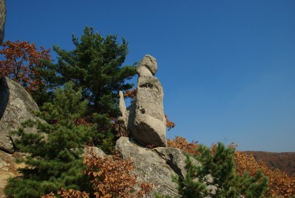 Чистоводное Приморский край парк драконов