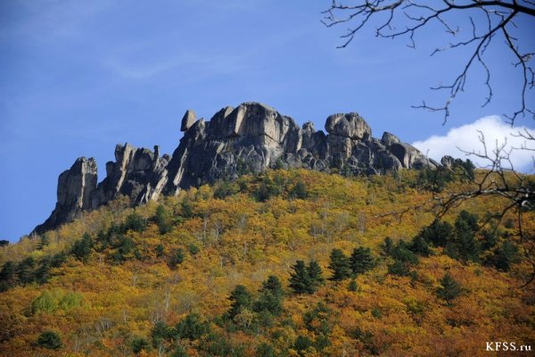 Парк драконов Приморский край