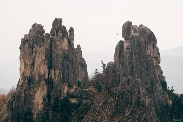 Чистоводное Приморский край парк драконов