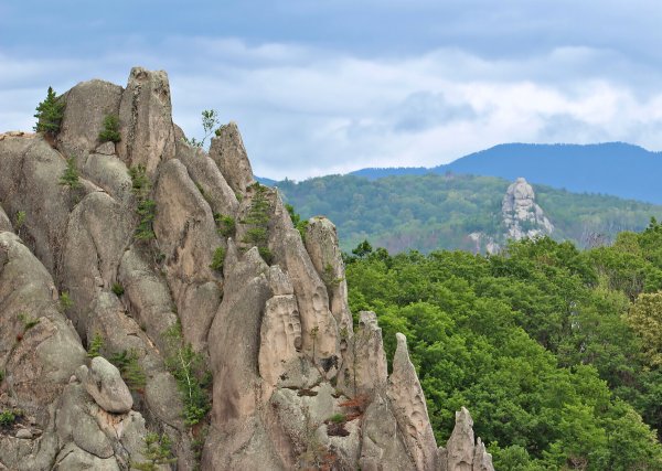 Парк драконов Приморский край