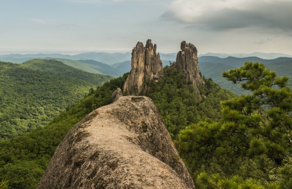 Парк драконов Приморье
