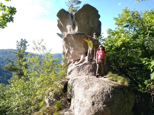 Чистоводное парк драконов