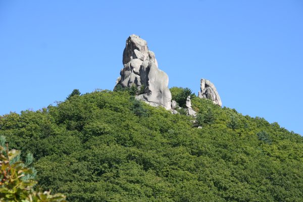Чистоводное Приморский край парк драконов