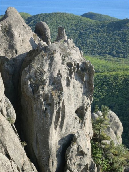 Парк драконов село Чистоводное