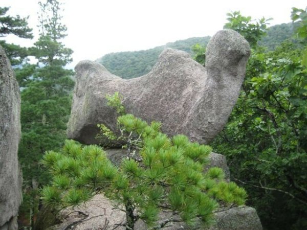 Парк драконов Приморский край