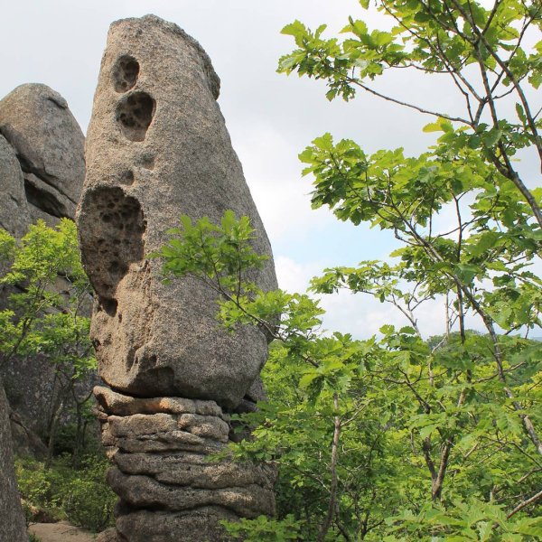 Чистоводное парк драконов