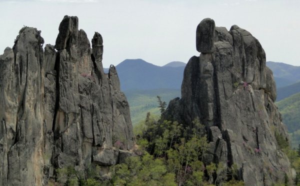 Чистоводное парк драконов