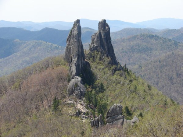 Парк драконов село Чистоводное