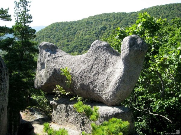 Парк драконов Приморский край