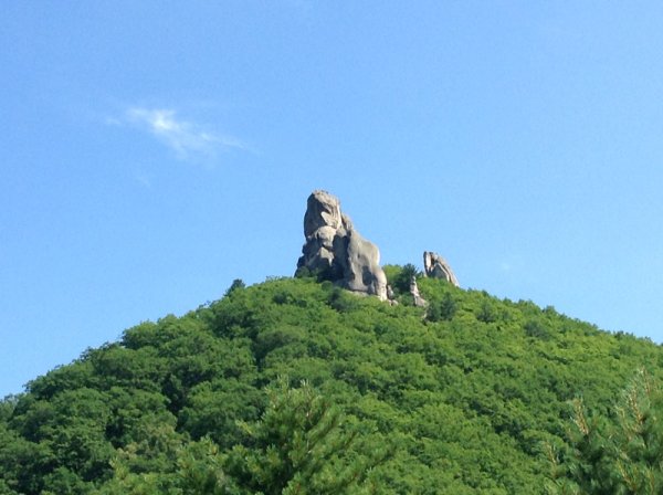 Приморье Лазовский район парк драконов