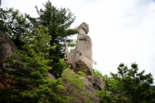 Чистоводное парк драконов