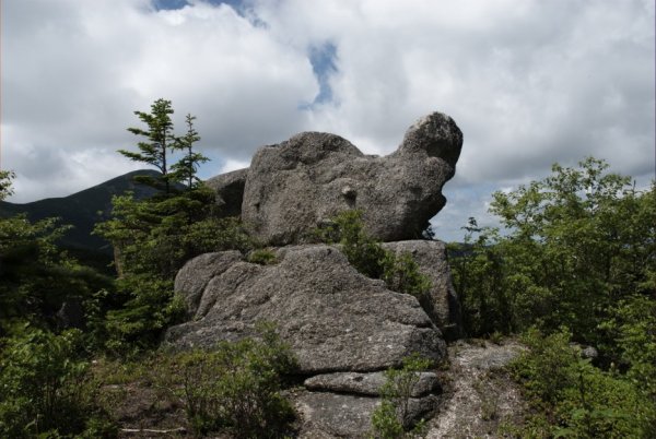 Приморье Лазовский район парк драконов