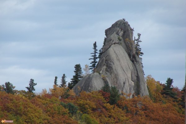 Парк драконов в Приморском крае