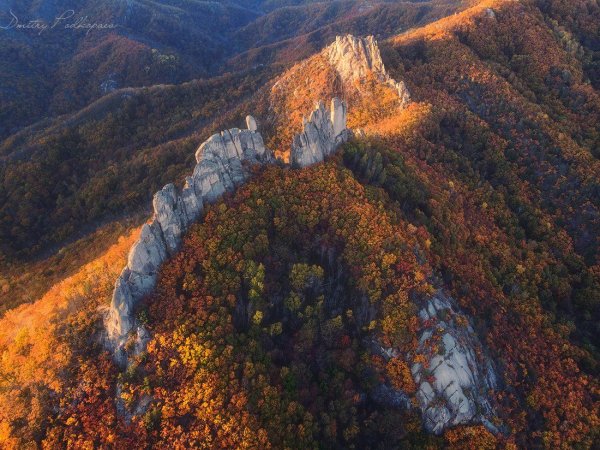 Парк драконов Уссурийск