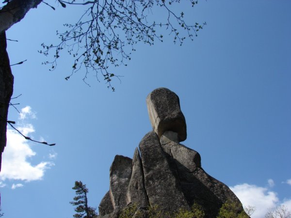 Чистоводное Приморский парк драконов
