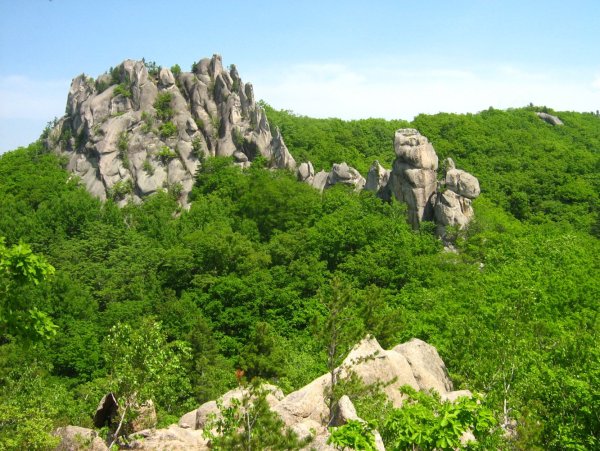 Парк драконов Лазовский район