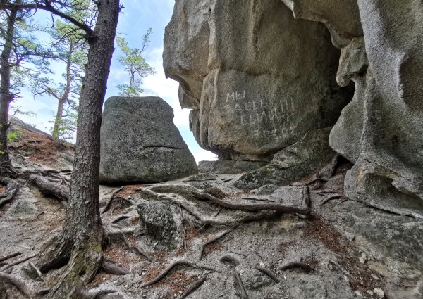 Парк драконов Приморский край