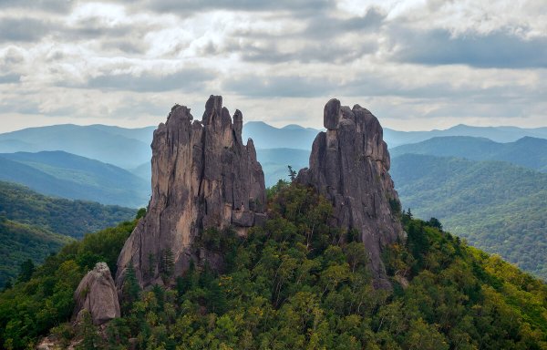 Чистоводное парк драконов