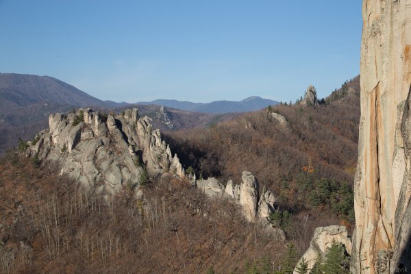 Драконий парк Приморский край