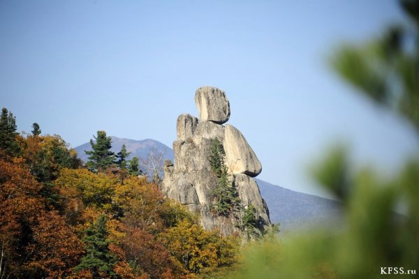 Парк драконов Владивосток