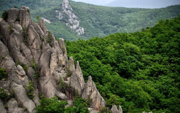 Село Чистоводное Приморский край парк драконов