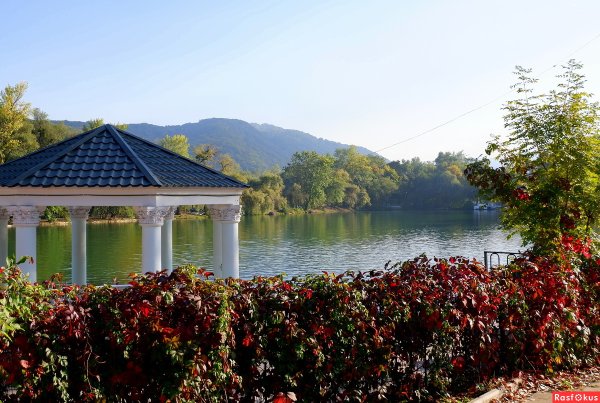 Атажукинский сад в Нальчике озеро