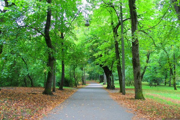 Липовая аллея Нальчик Атажукинский