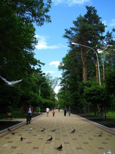 Центральный парк Нальчик