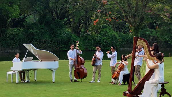 Музыканты на природе